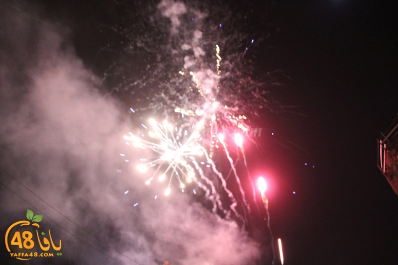 tree xrismass (14).JPG